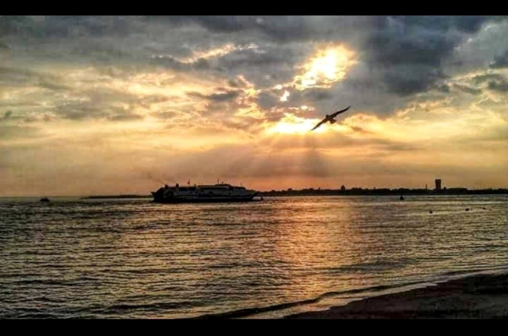 T1. A Ferry, a Faulty Bearing and a&nbsp;Beginning