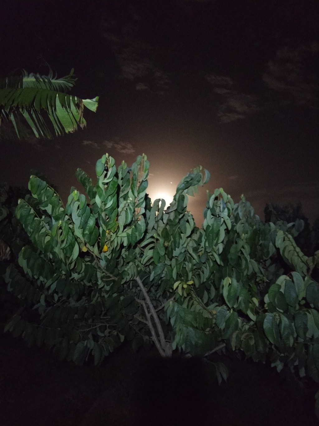 M6. Tales from the Farmhouse: The Noisy Edition