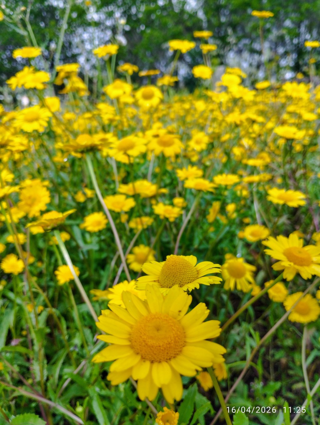 The Weight of Being&nbsp;Strong