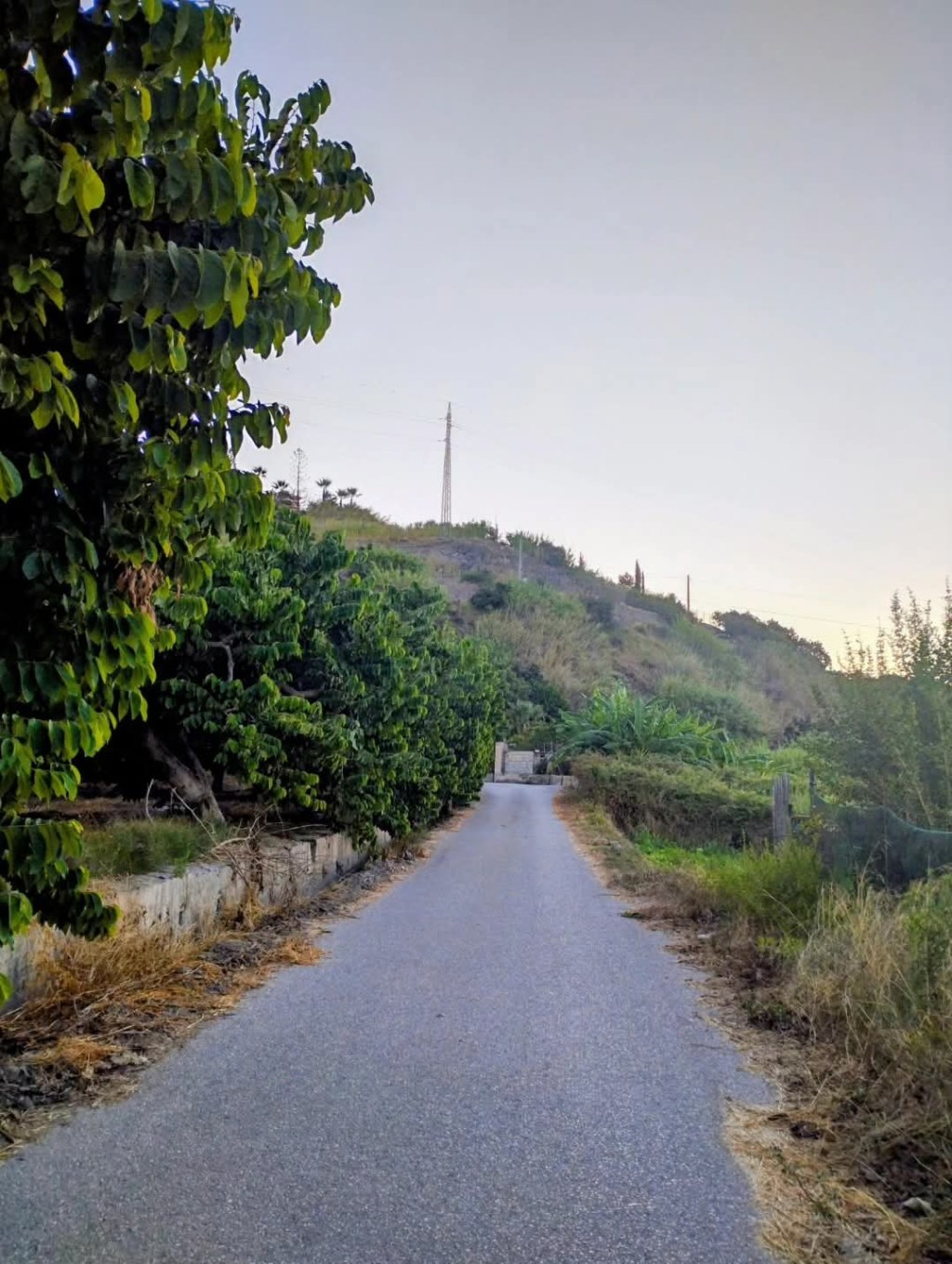 This morning’s walk felt&nbsp;different.